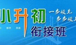 茂名小升初爆料新闻事件,揭秘教育公平背后的暗流涌动