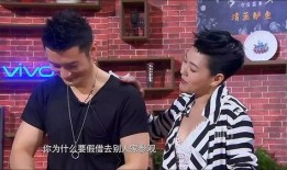 娱乐圈大爆料视频框制作,揭秘明星幕后真相，独家视频带你探秘